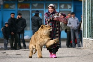 Зоопарк душанбе фото