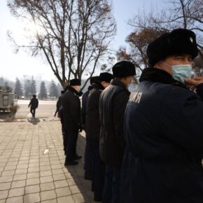 Мишки Тедди и DDoS-атака: что писали онлайн-СМИ о выборах в Казахстане