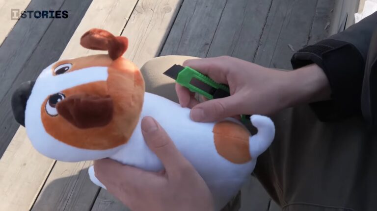 Собачка Аркадий: рекомендации для журналистов-расследователей от Романа Анина