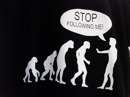 Неординарные тви-аккануты Центральной Азии