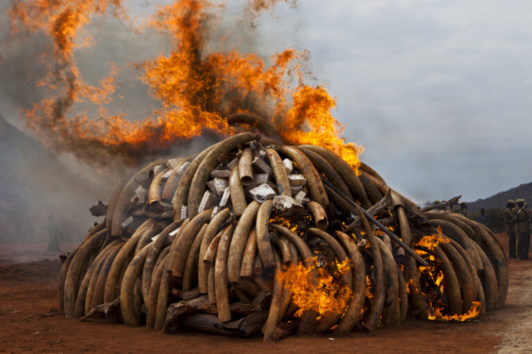Фотожурналистика. Выдающиеся фотографы нашего времени. Брент Стиртон