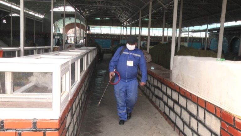 Награда «Любимцы медиакритиков»: лучшие в медиа Таджикистана