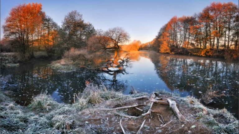 Фотоконкурс New East Photo Prize