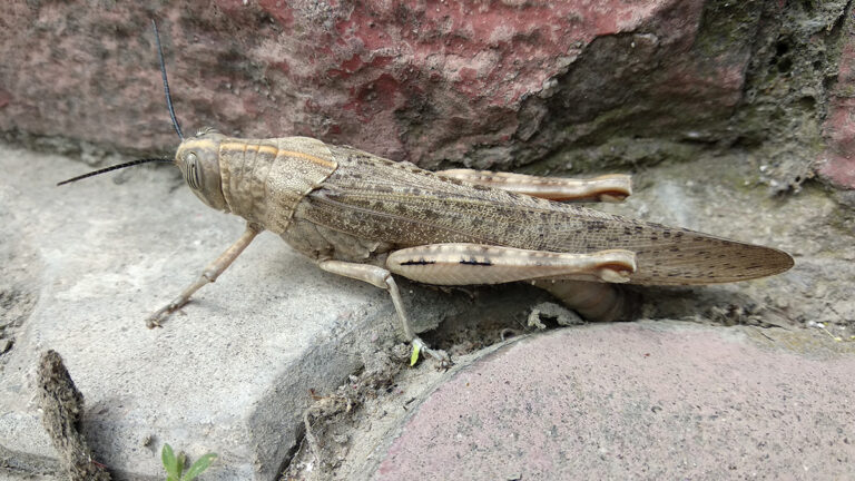 Проверка фотографии