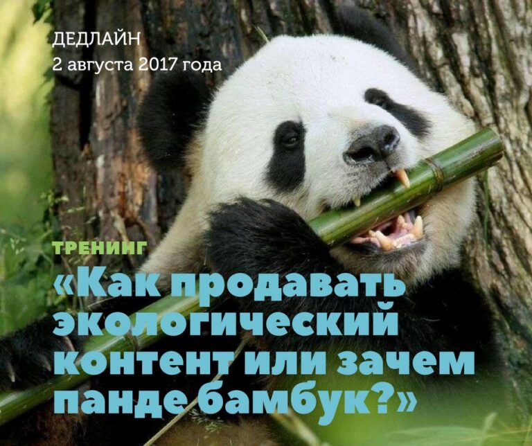 Тренинг «Как продавать экологический контент или зачем панде бамбук?»