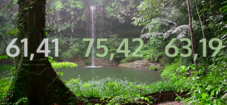 «Курс-дзен»: новый визуальный формат подачи информации