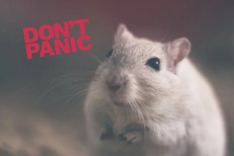 Ложь, наглая ложь и новости