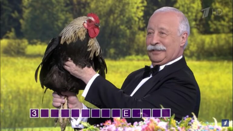 Возвращение Якубовича и турецкий ремейк американской классики: самые популярные телепрограммы августа