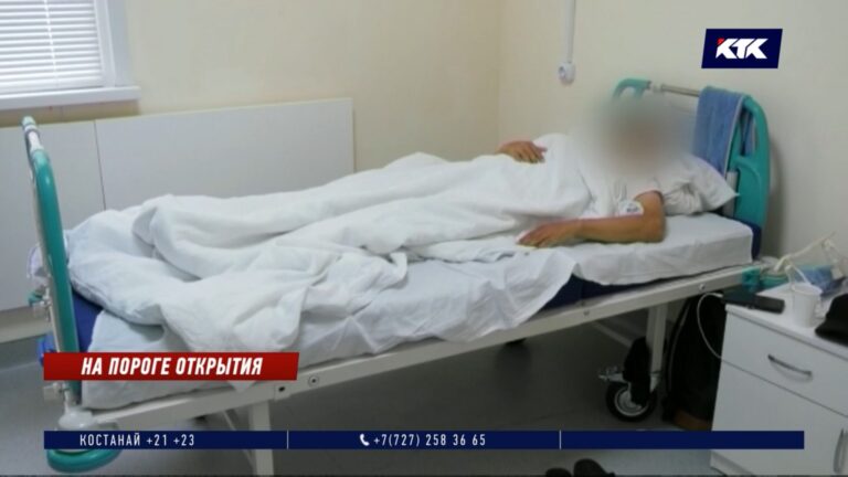 Новости и Тапки: самые популярные телепрограммы августа