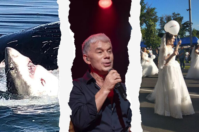 Рейтинг тем сентября 2019 в Казахстане, Таджикистане и Узбекистане