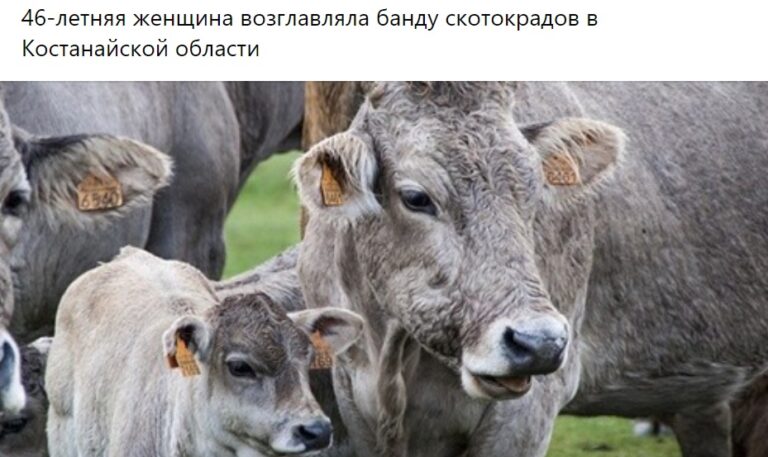 «Пьяные слёзы автоледи»: как СМИ Центральной Азии пишут о женщинах-правонарушительницах