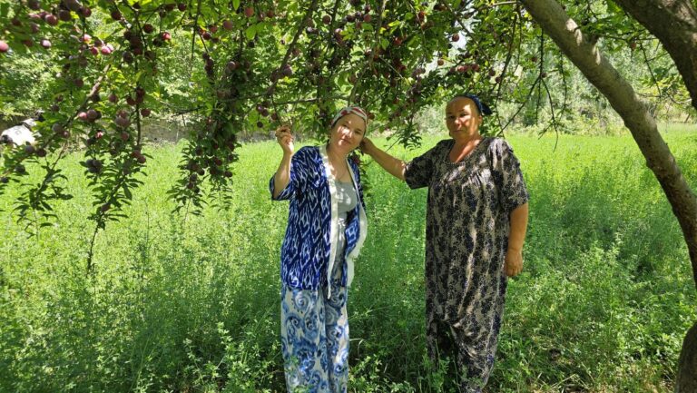 От пыльных бурь до культуры контроля женщин: журналистки из Таджикистана учат аудиторию рефлексировать